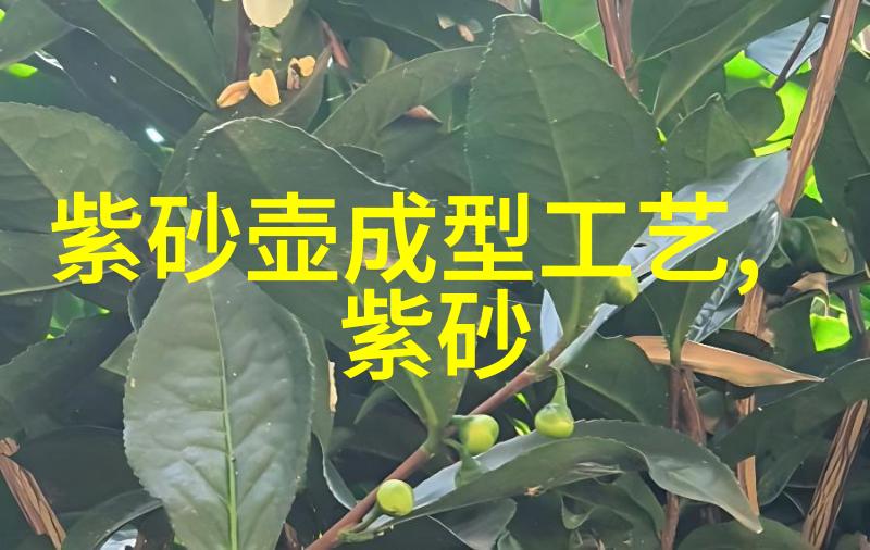 综述泥料与窑温和茶的关系